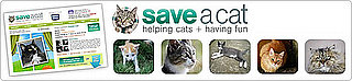 Save a Cat on Facebook: In the LINK of an Eye!