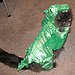 Dragon Tails