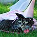 Pretty Princess at the Park