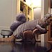 Squirreling Around