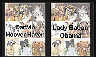 Can You Tell Which Dog Name Is Wackiest For a Shot at $1,000?