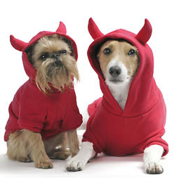 Howl-o-ween Hoodies For Year-Round Dress Up Fun 