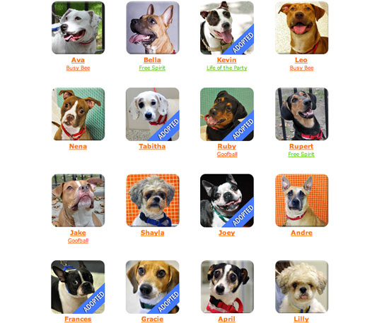 Humane Society and SPCA