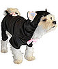 Howl-o-ween Puppies Dressed as Cats (Literally)
