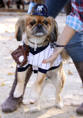 Batter Up . . . Batter Up . . .
