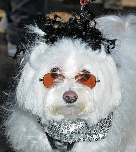 My Future's So Bright . . . My Future's So Bright . . .