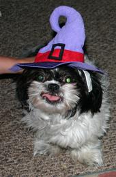 Bewitching Bewitching
