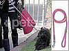 January Jones and Her Pooch Take a Stroll
