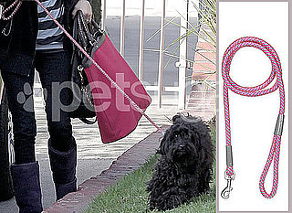 Found! January Jones's Roped Leash