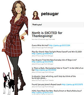 Follow PetSugar on Twitter! 