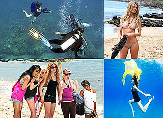 Quiz on America's Next Top Model, Cycle 13, Episode 10, "Dive Deeper"