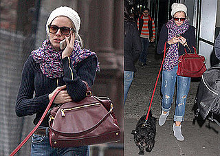 Photos of Sienna Miller Walking Her Dog in NYC 2009-10-15 16:00:00