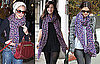 Sienna Miller, Rachel Bilson and Liv Tyler Wear Louis Vuitton's Colorful Leopard Scarf
