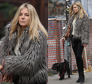 Photo of Sienna Miller in Fur Jacket and Black Pants Walking Dog in NYC
