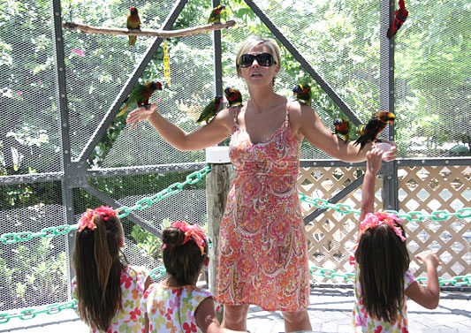 Jon and Kate Plus 8: "Butterflies and Water Rockets" Episode