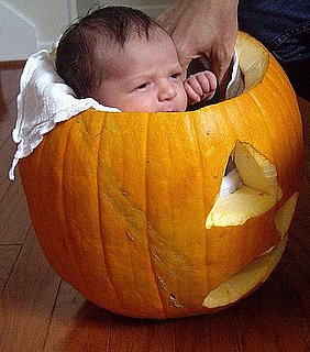 Sugarbabies: Small Enough For a Pumpkin