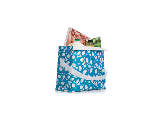 Blue Avocado's Chil Bag