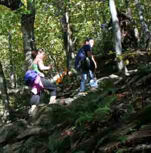 Hike the Hill: Preventing Knee Pain 