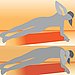 Elbow Plank With a Twist