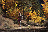 Burning Calories With Fall Activities