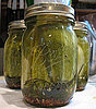Use Pickle Juice For Electrolyte Replacement