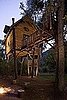 Would You Live in a Tree House?