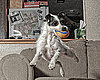 Open House:  What's Your Home's Pet Policy?