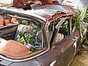 Cool Idea: A Car Turned Planter