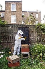 Would You Add a Beehive to Your Home?