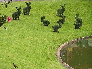 Would You Like to Have a Topiary Garden?