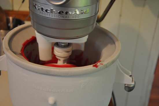 Cranberry Ginger Sorbet Cranberry Ginger Sorbet