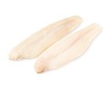 Fast & Easy Recipe for Cracker and Parmesan Crusted Fish Fillets 2009-11-20 15:22:23
