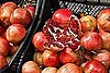 What's In Season: Pomegranates