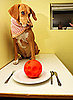 Do Tell: What's on the Menu For Your Pets This Thanksgiving?