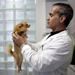 Top 10 Poisons Reported to Animal Poison Control Top 10 Poisons Reported to Animal Poison Control
