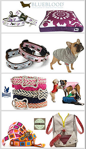 Who's Your Favorite Stylish Pet Designer?
