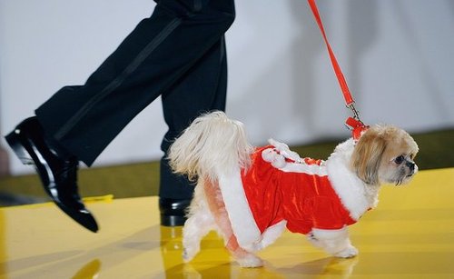 Ho, Ho, Ho Ho, Ho, Ho