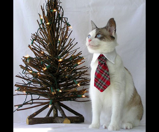 Christmas Tartan Ties Christmas Tartan Ties
