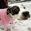 Ease Into Winter With These Six Tips
