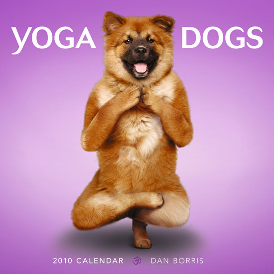Sneak Peek: Yoga Dogs Sneak Peek: Yoga Dogs