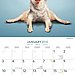 January — Wide Angle Seated Forward Bend