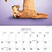 July — Plow Pose