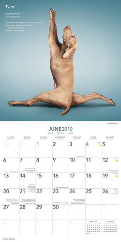 June — Monkey Pose June — Monkey Pose