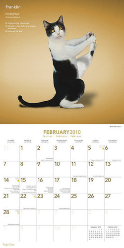 February — Heron Pose February — Heron Pose
