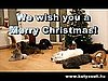 Super Cute Video: Doggies Trim the Tree!