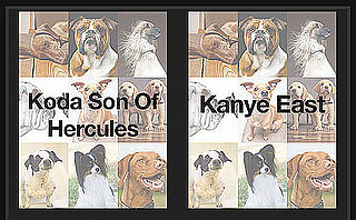 Can You Tell Which Dog Name Is Wackiest For a Shot at $1,000?