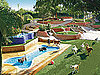 Canyon View Ranch Is Doggy Paradise: In the LINK of an Eye! 