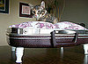 Merry Etsy-mas: Vintage Suitcase and Briefcase Pet Beds