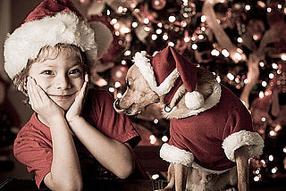 Will There Be Pets in Your Holiday Photos?