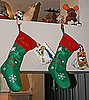 Do Your Pets Have Stockings, Too?